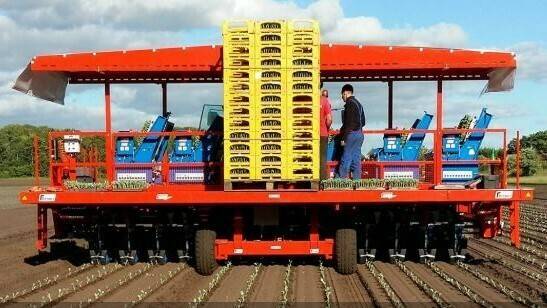 ferrari futura frente (2)|Ferrari futura-twin-automated-transplanter (2)